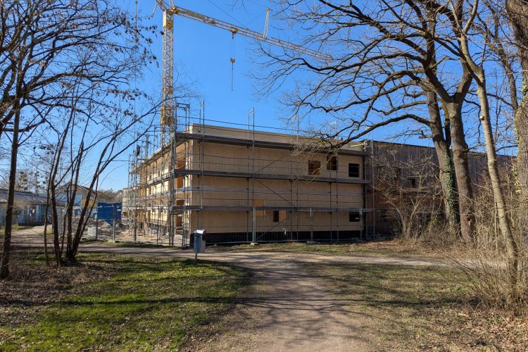 PXL_20250320_124551322
